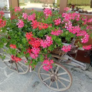Bed and breakfast Del Contadino, Sondrio